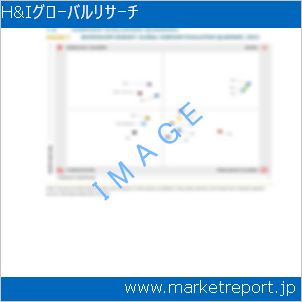 市場と産業調査レポートのイメージ